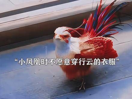 沈璃的每一套服饰都是行云设计的!而且都是情侣装,即使被抓回去时也还穿着呢