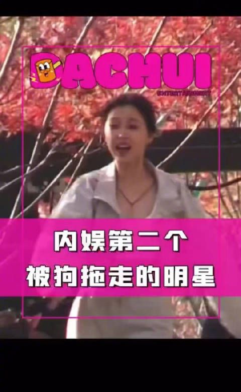 刘大锤说内娱第二个被狗拖走的明星,被拖走四次 第一个是大冰