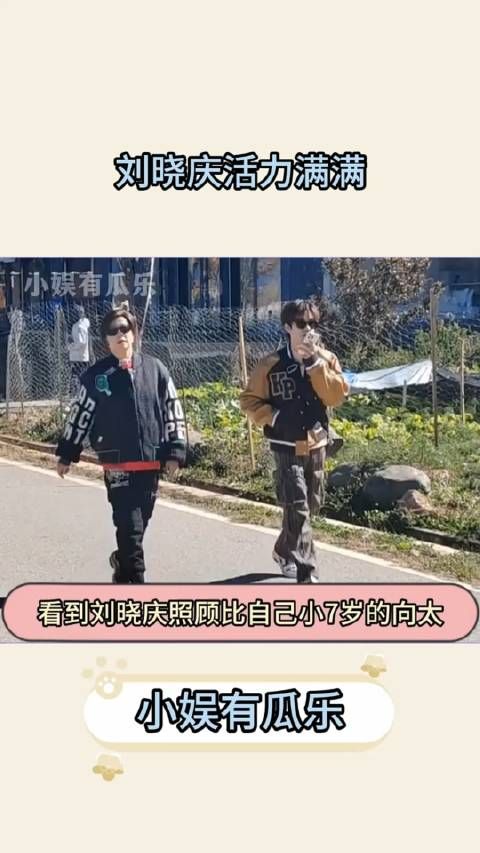 看到刘小庆照顾比自己小7岁的向太,才发现她岁数最大,但腿脚最利索…