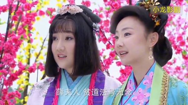 薛丁山下山意外救下樊梨花,从而得罪太子李承乾