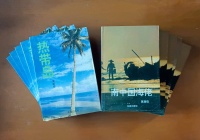 南方的海 ——黄康俊小说创作简论／文能