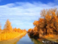 【美文欣赏】大 雪