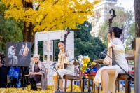 来自上海的浪漫，一年一度“银杏音乐会”如约而至