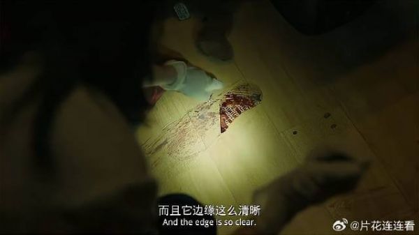 女律师鹰眼,半个鞋印锁定第三者,监狱里只是替罪羊
