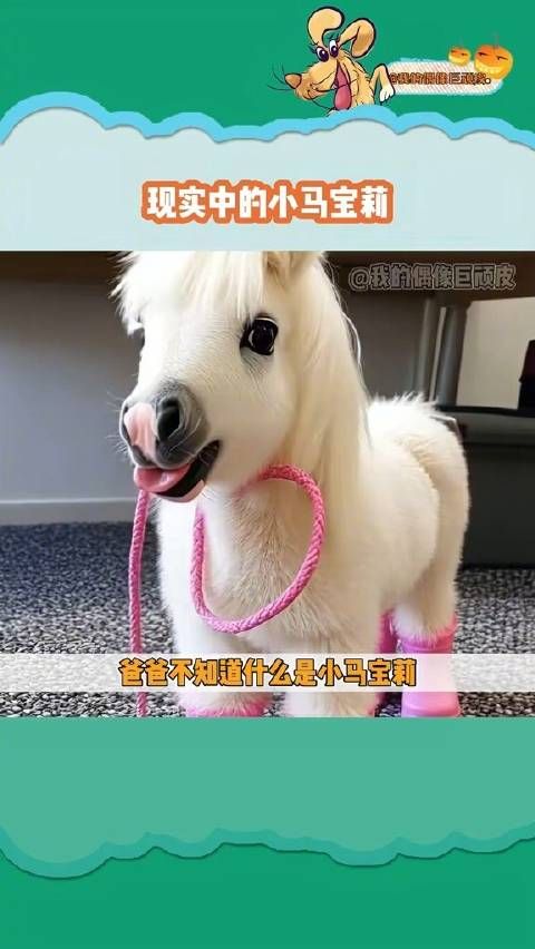 好可爱的小马宝莉,我也想要!
