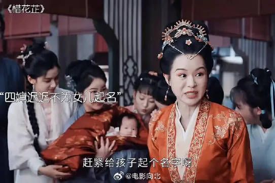 作四婶迟迟不为女儿起名,花芷看出四婶心思