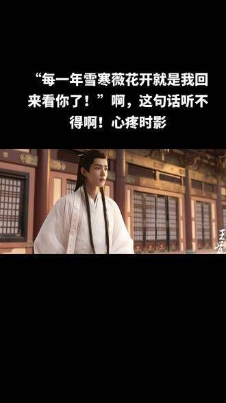 雪寒薇花绽放,以玉骨结缘,许下一人钟情,琴瑟永不分离!