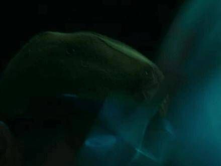 卢兰重返沙场,女子英姿不输男儿,共同谱写英雄的战歌