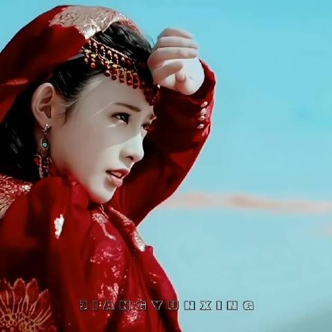 是西洲九公主，也是东宫的太子妃