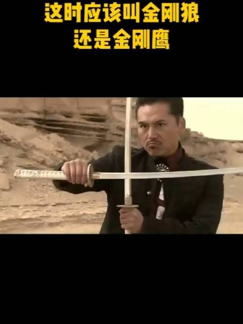 这时应该叫金刚狼,还是金刚鹰?