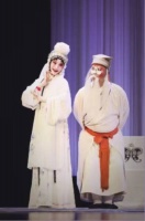 从“杜丽娘”到“白娘子”，张冉：寻梦昆曲，就是寻梦古老中国的温柔诗意