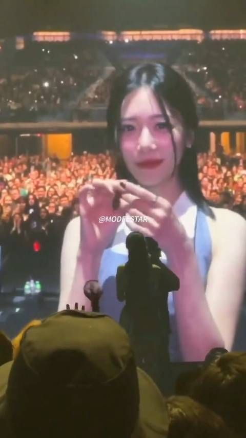 这谁顶得住啊,我投降