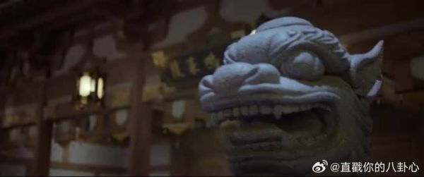嘴上说着断绝关系,却还给父亲做了护膝,血缘难断