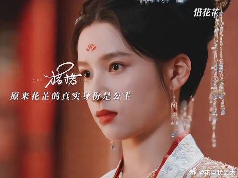 原来花芷的真实身份是公主 顾宴惜的任务就是找回失散多年的公主!