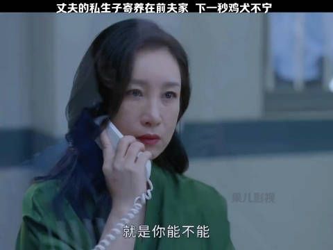 丈夫的私生子寄养在前夫家,下一秒鸡飞狗跳