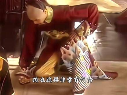 行礼时身姿挺拔,跪得格外有气势