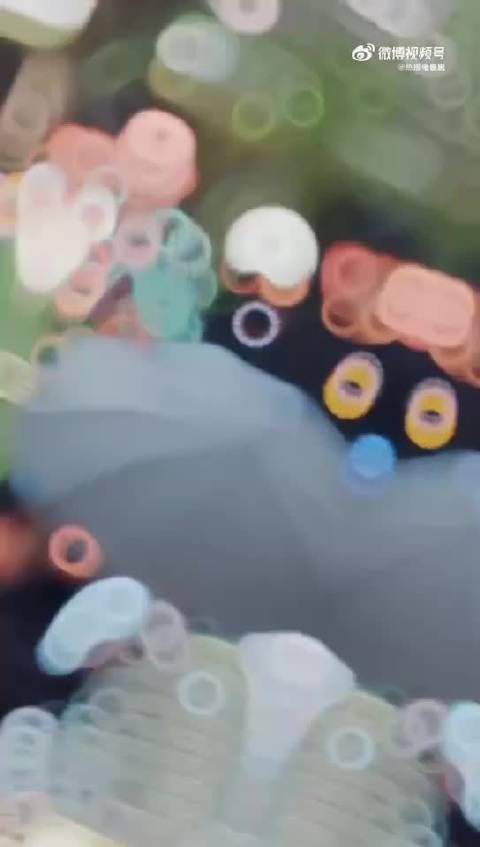 王鹤棣私服太帅了,团建录制现场又帅又嗨!
