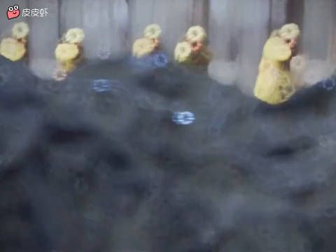 这就是爱的力量