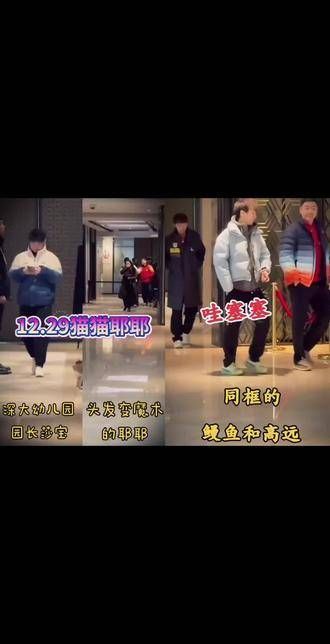抵达上海的莎头,圆满出发活动:莎莎炸毛看起来还有点困意!