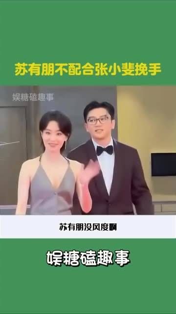苏有朋这番风度,完全没有配合张小斐的挽手举动啊