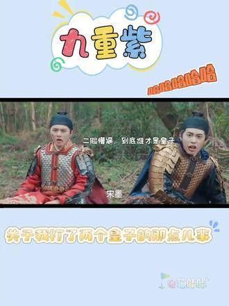 宋墨真是有出息,两个皇子都被他一人一拳教训了,九重紫搞笑片段又添新料