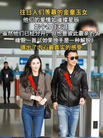 如果放手是一种解脱,谢霆锋和张柏芝曾是众人羡慕的金童玉女