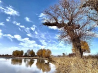 “与辉同行”2025跨年音乐会说明了什么？