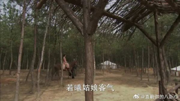 公子们教若曦骑马,若曦说这是在哄小孩子!