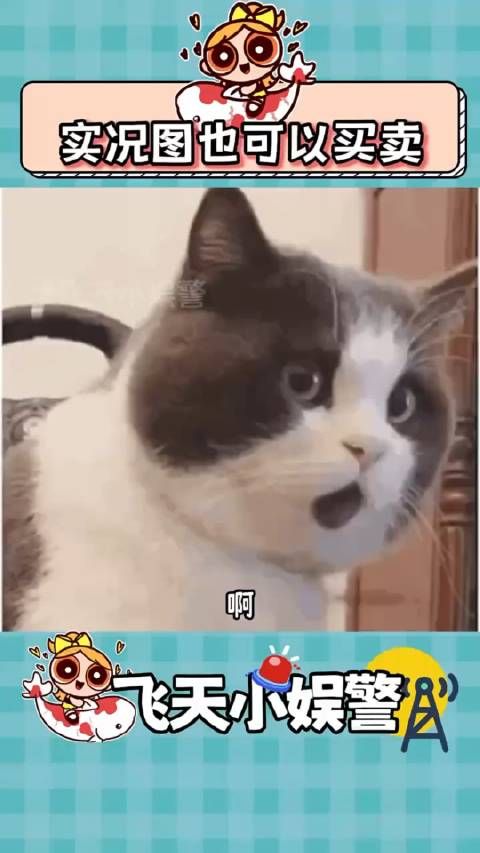 原来实况图也可以买卖?! 实况图 朋友圈