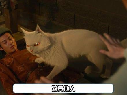 李饼真是双面猫猫侠,笑点比疑点多,既好笑又好磕,大理寺少卿游 李饼