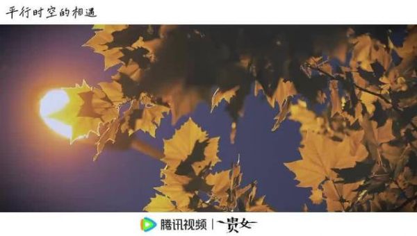 陈都灵贵女的最新物料可不就是让人看着都觉得非常的美…