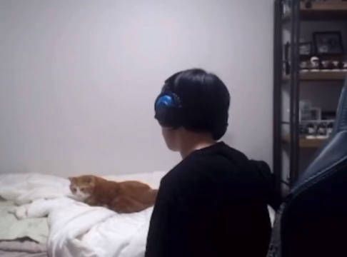 在经过一番“交涉”之后,Deft把床让给了猫猫, rumor_1023