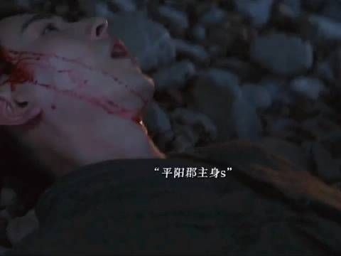 平阳郡主身死 临安因为姐妹的离世一夜之间长大 发誓一定要为姐妹报仇