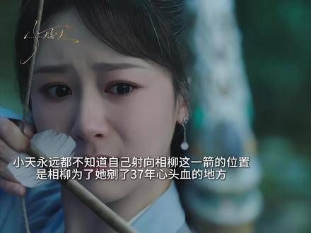 小夭永远都不知道自己射向相柳的那一箭,击中了他为她付出37年心血的地方!