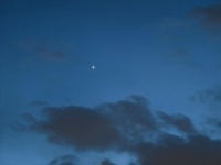 喜迎东大距，金星更“亮”了