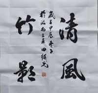 【书法评论】董发亮:田继光䎐墨韾香