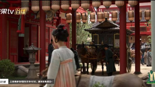 哈哈哈哈哈哈 何惟芳:死腿,快走啊