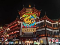 沪政协委员建言“地标+体验”打造新海派年俗