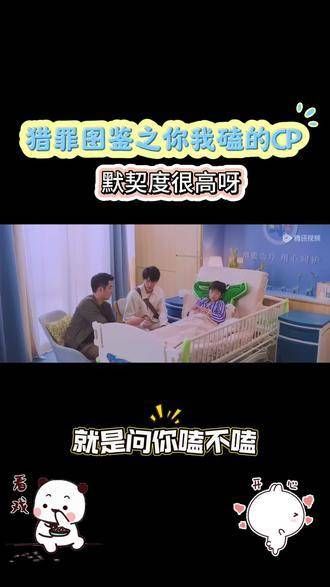 猎罪图鉴中你我磕的CP,他们在一起的感觉非常和谐