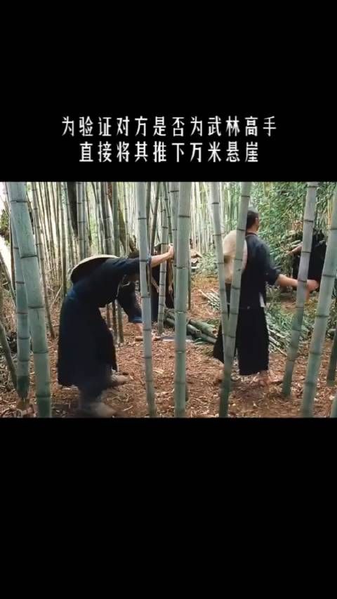 为验证对方是否为武林高手,直接将其推下万米悬崖