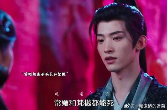 重昭开始在意茯苓,慕九就是玲珑孩子
