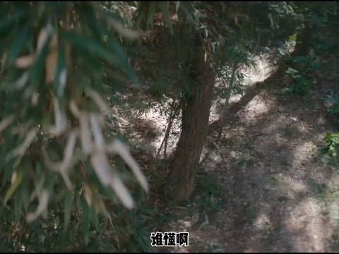 王鹤棣撞脸风雨中前行表情包,这一幕也太好笑了吧!
