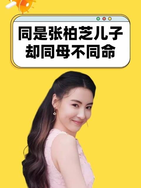 同样是张柏芝的儿子,却因母亲而命运各异?