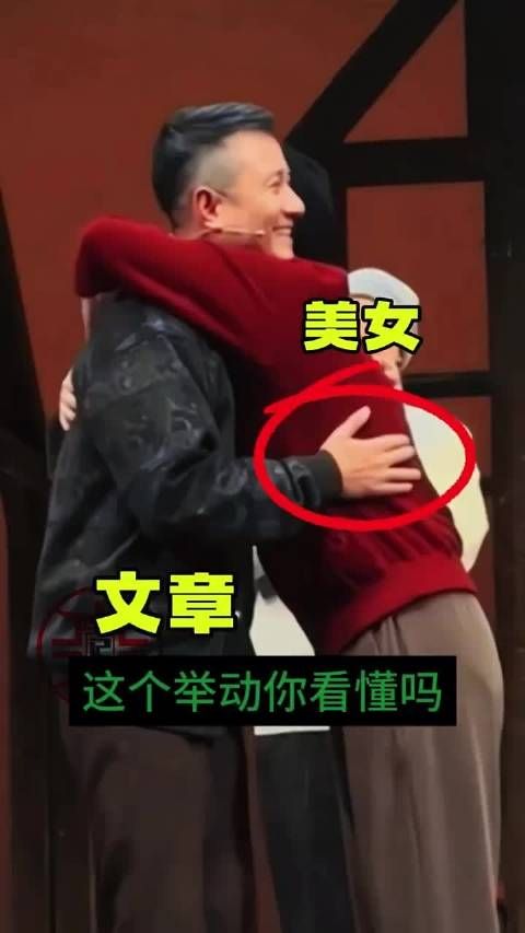 文章小心翼翼与女演员拥抱,文章的举动你看懂吗?·文章·马伊琍·明星·春晚