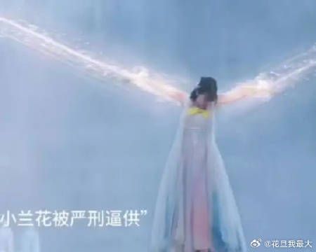 本座的人你也敢动