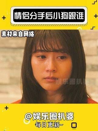情侣分手,小狗的归属成了难题