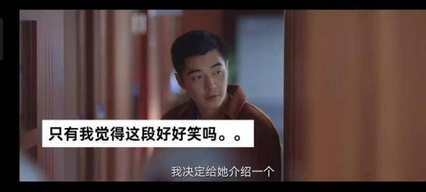 这段只有我觉得特别好笑吗?