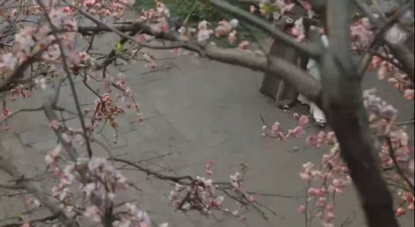 我那体弱多病又特能生的爹地来了出场一分钟,硬控我一天!