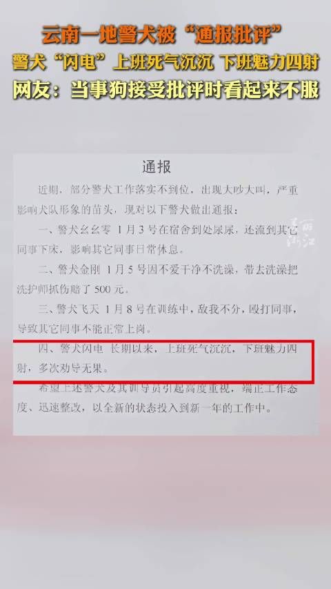 哈哈哈哈,还挺可爱