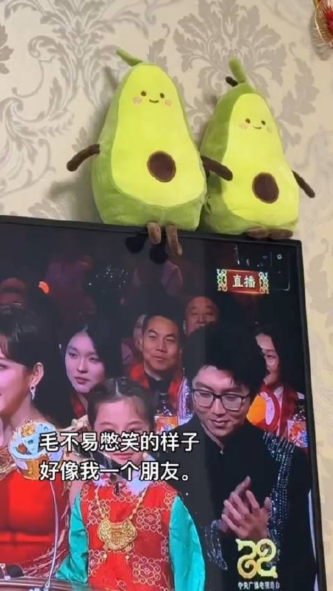 毛不易憋笑的样子,好像我的一个朋友
